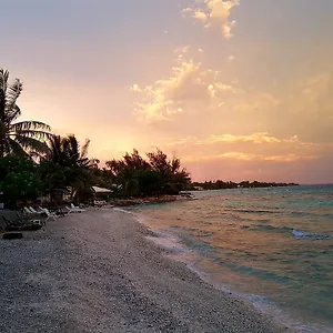 Rangiroa Plage Maison d'hôtes Avatoru