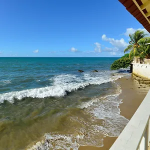 Lemon Tree Ocean Front Hotel Rincon